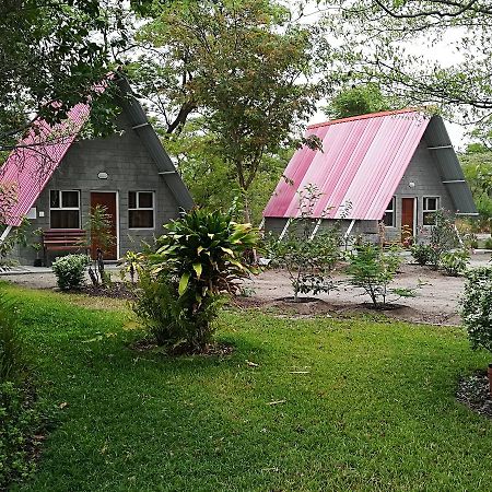 קטימה מולילו Happy Forest B&B מראה חיצוני תמונה
