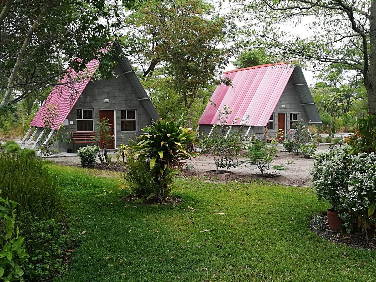 קטימה מולילו Happy Forest B&B מראה חיצוני תמונה