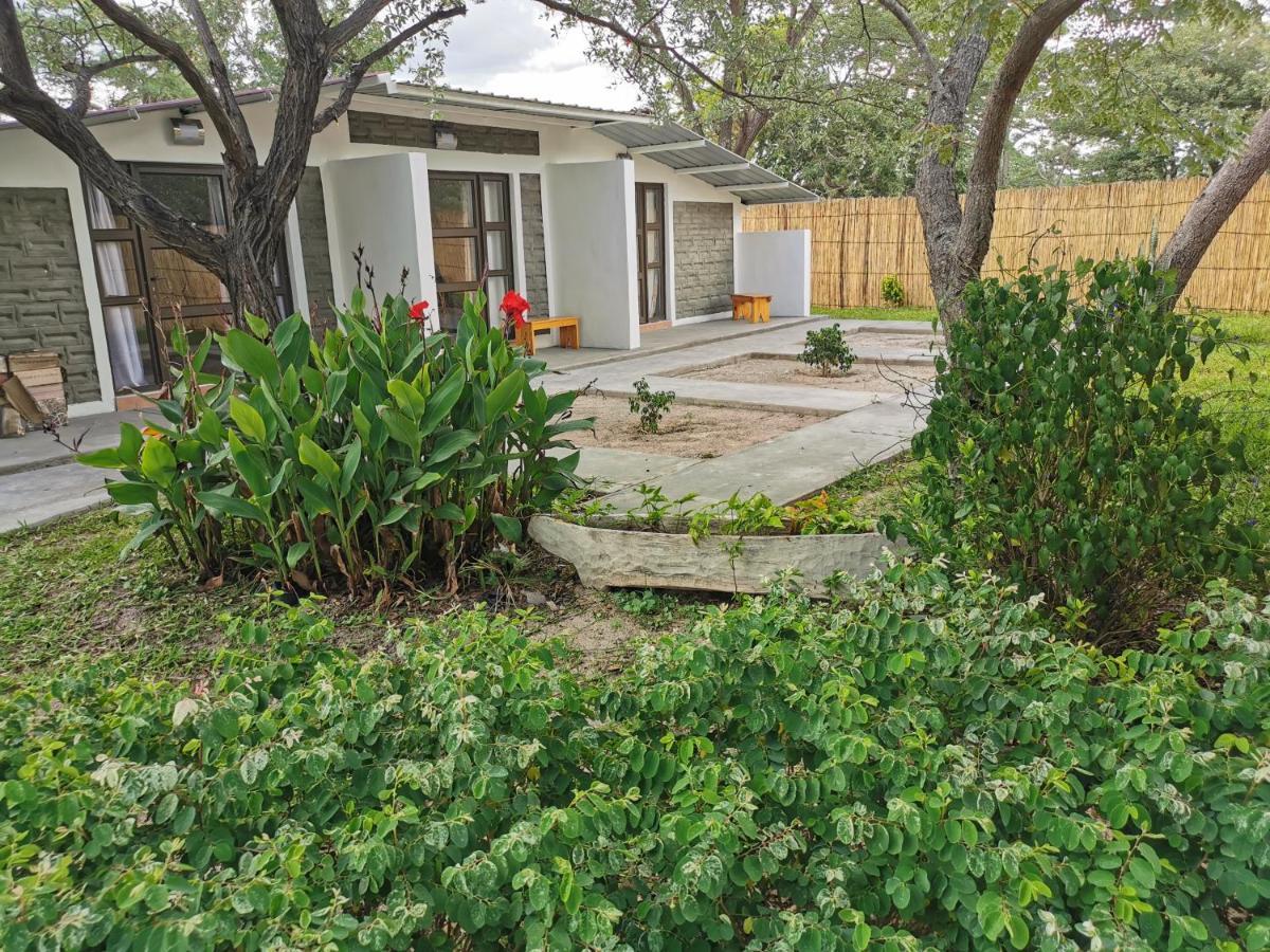קטימה מולילו Happy Forest B&B מראה חיצוני תמונה