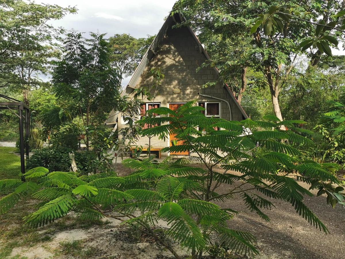 קטימה מולילו Happy Forest B&B מראה חיצוני תמונה