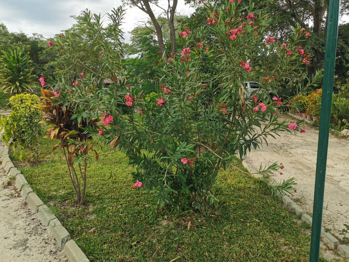קטימה מולילו Happy Forest B&B מראה חיצוני תמונה
