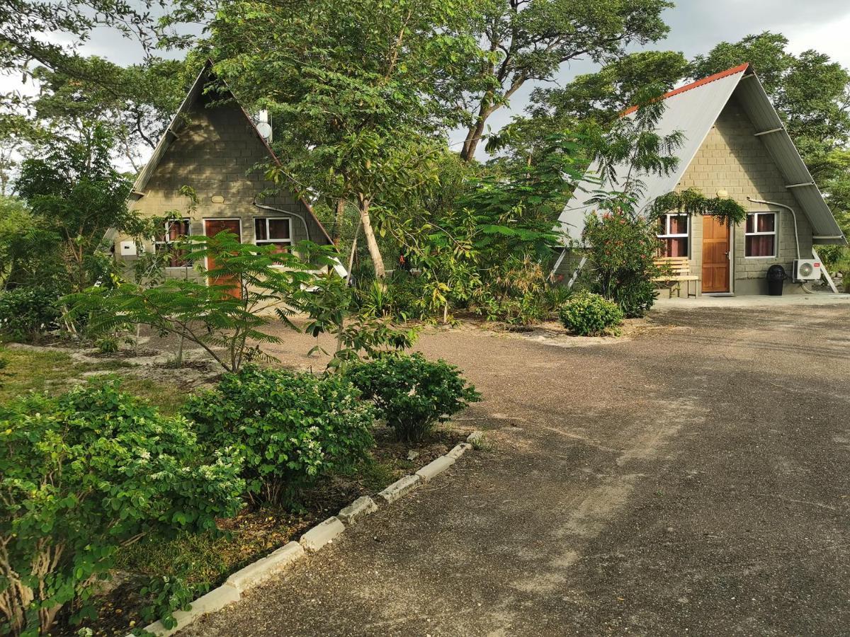 קטימה מולילו Happy Forest B&B מראה חיצוני תמונה